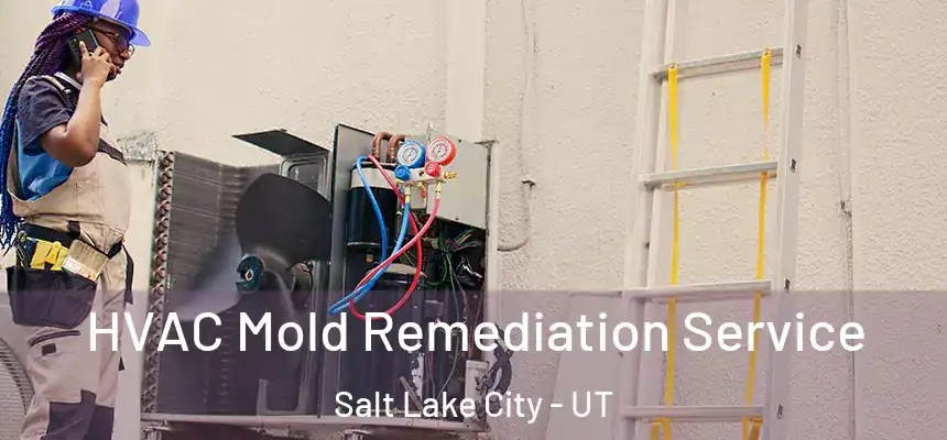  HVAC Mold Remediation Service Salt Lake City - UT
