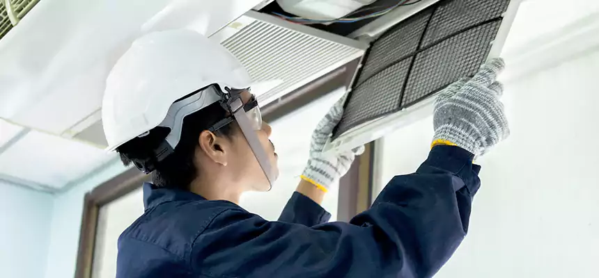 Our Mold & Mildew Removal from Air Ducts Services in Salt Lake City, UT