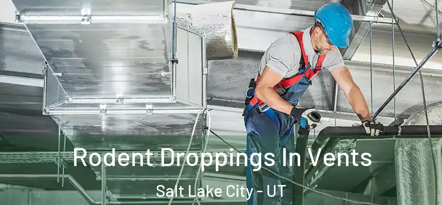  Rodent Droppings In Vents Salt Lake City - UT