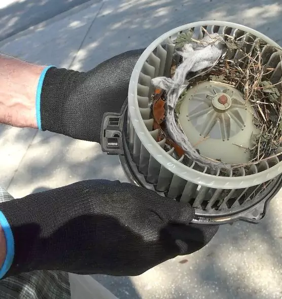 About Air Duct Rat Removal in Salt Lake City, UT