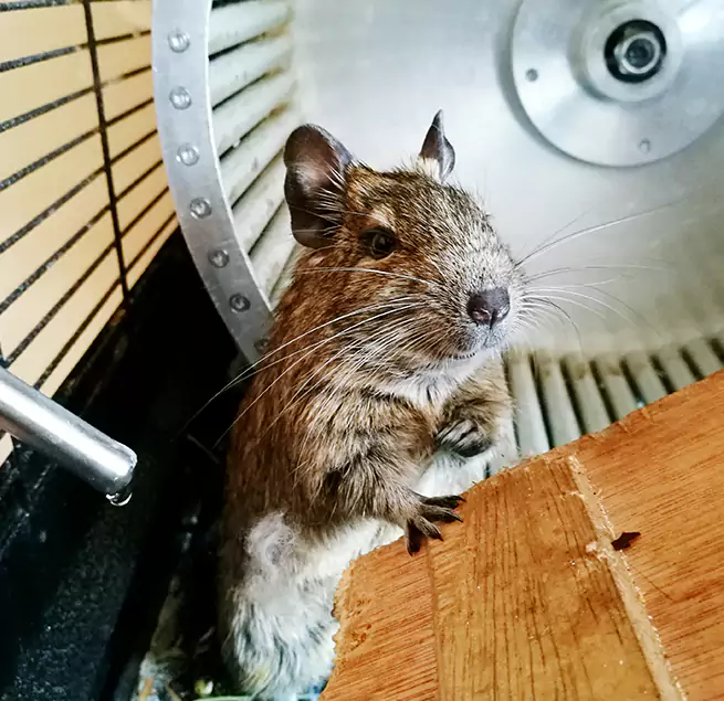 Why Homeowners & Businesses Trust Us Salt Lake City, UT