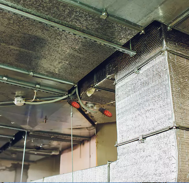 Why Homeowners & Businesses Trust Us Salt Lake City, UT?